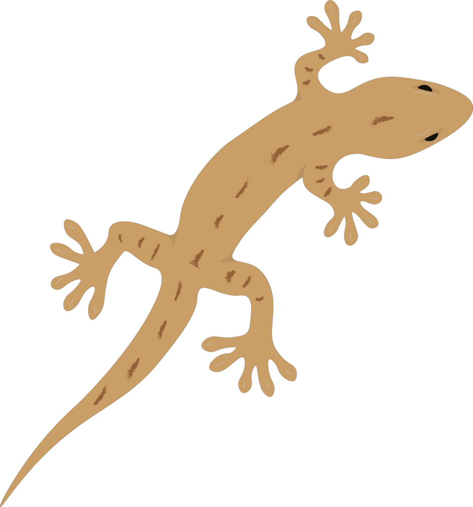 Lizard  Flat Cartoon